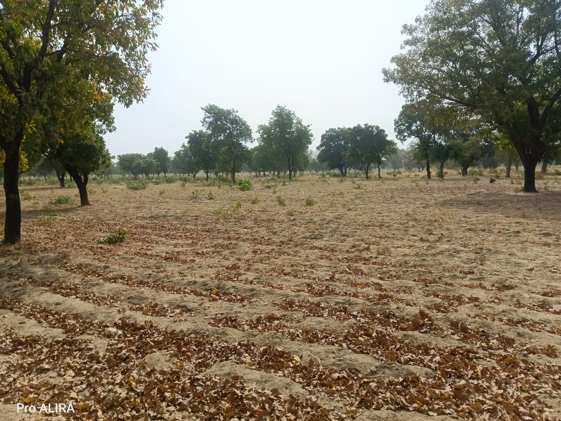 En savoir plus sur Natiga Invest