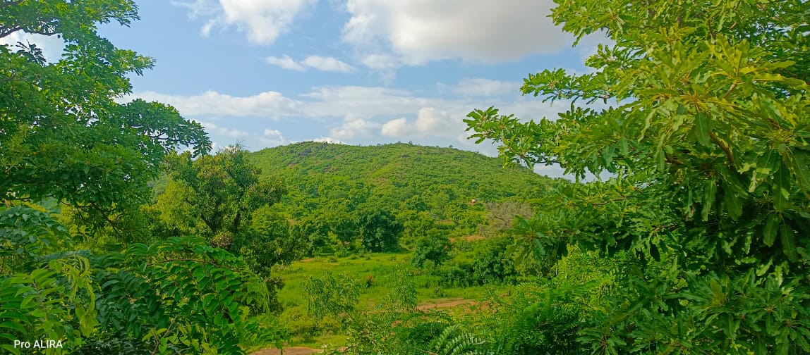 Terres agricoles Burkina Faso